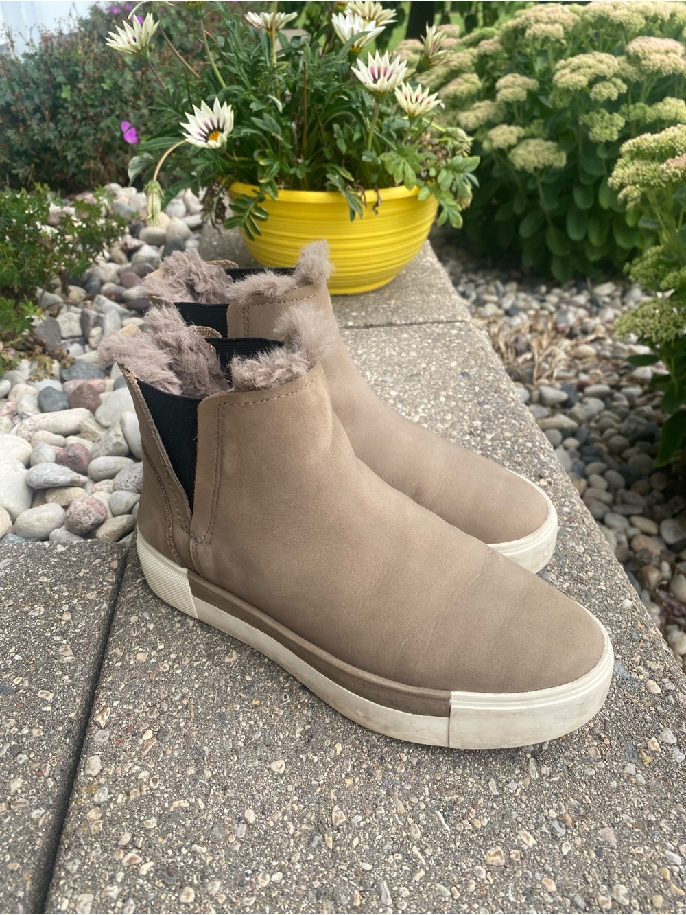🌈 J Slides Taupe Fur-Lined Chelsea Sneakers